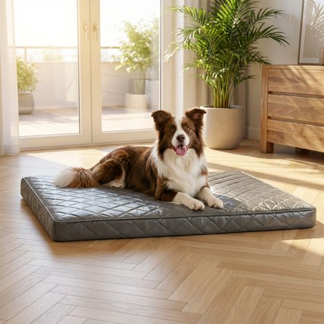belviona Hundematratze orthopädisch, Memory-Foam Hundematte mit abnehmbarem Bezug, pflegeleicht & rutschfest, 100x70 cm, grau (1/5)