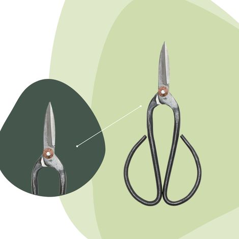 Ciseaux à Bonsaï Grand Modèle 19 cm - Outil de Taille de Précision pour Entretien des Bonsaïs - PANGIVO (1/2)