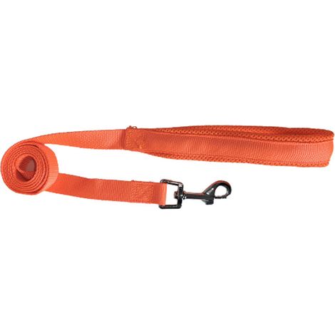 Laisse pour Chien Réglable 150 cm, Accessoire de Promenade Résistant et Confortable, Taille Unique