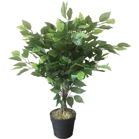 60cm Artificial Ficus Tree / Plant - Large Bushy Shape (1/5)