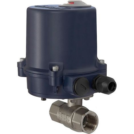 Riegler 2-Wege-Messingkuha, elektr. Stellantrieb, 230 V AC, 50 Hz, Rp 1/2 (1/3)