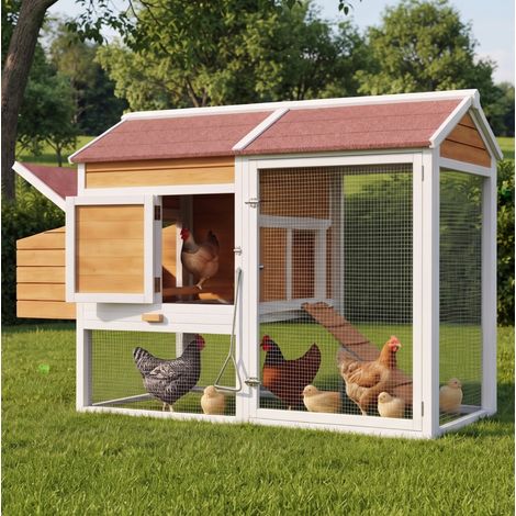 Pollaio da esterno 185 x 91 x 115 cm in legno di abete, per 6-7 galline, color legno HAVRYA (1/5)