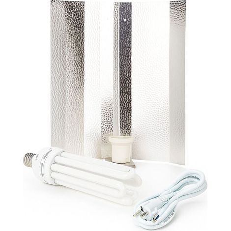 ESL 125 Watt Wuchs Beleuchtungsset – Energiesparlampe Grow (1/5)
