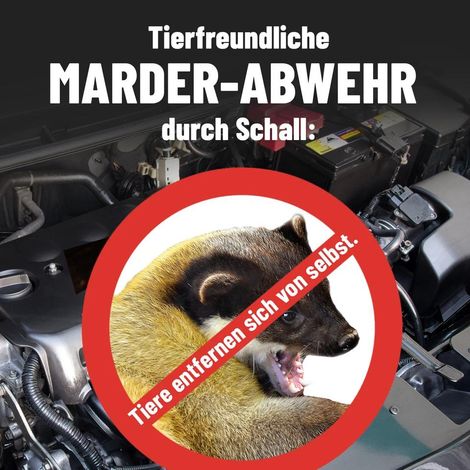 Répulsif ultrason pour animaux sous capot de voiture, alimentation 12 V, éloigne martres et rongeurs du moteur (1/5)