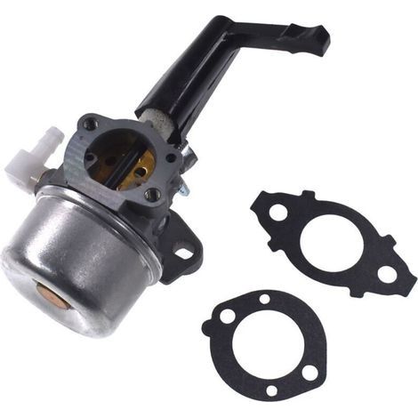 Briggs & Stratton 696065 Vergaser-Reparatursatz und Ersatzdichtung (1/3)