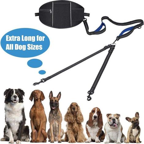 Laisse Double pour 2 Chiens, Promener Laisse de Chien pour Chiens Jusqu'à 50kg/180lbs, avec Sac Banane de Sport, Laisse réglable, Réfléchissante, Pas emmêlé (1/5)
