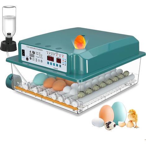 Couveuse Oeuf Automatique, Incubateur Oeuf Automatique 24-36 Oeufs avec Retournement Automatique des œufs et Ajout Automatique d'eau, Incubateur avec 4 modes d'incubation Automatiques (1/5)