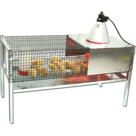 Kit Cage éleveuse poussins et cailles 100 x 60 x 50 cm