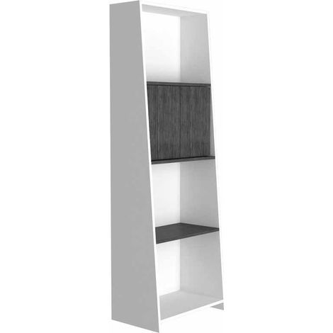 bookcase with doors