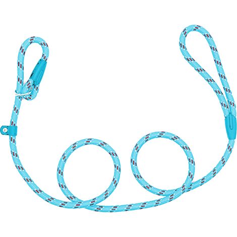 1 Laisse coulissante, réglable, ergonomique, pour chiens petite et moyenne taille, dressage et promenade (1/5)