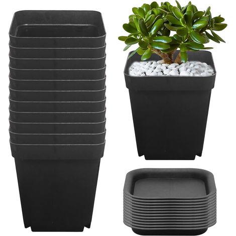 12 Plastic Flower Pots 7.5 × 7 × 5 cm Small Plant Pots for Planting Cultivation with Saucer, Flower Pots for Seedlings, Succulents, Cuttings, Transplanting (1/5)
