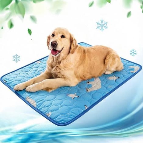 Tapis rafraîchissant auto-rafraîchissant pour chien et chat, couchage d'été idéal pour la maison, l'extérieur et la voiture, tapis confortable pour animaux de compagnie, taille 1-70 x 100 cm (1/5)