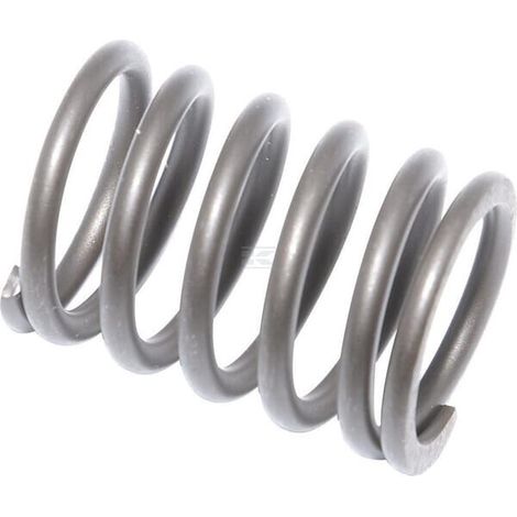Soupape BRIGGS & STRATTON 694865