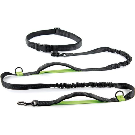 Laisse de sport pour chien en nylon pour le jogging avec ceinture (1/3)