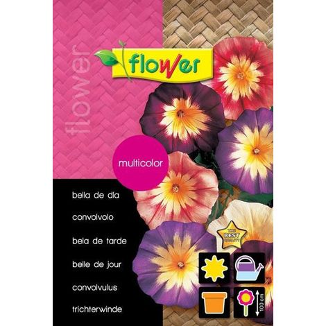 Semillas césped universal 1Kg flower (1/5)