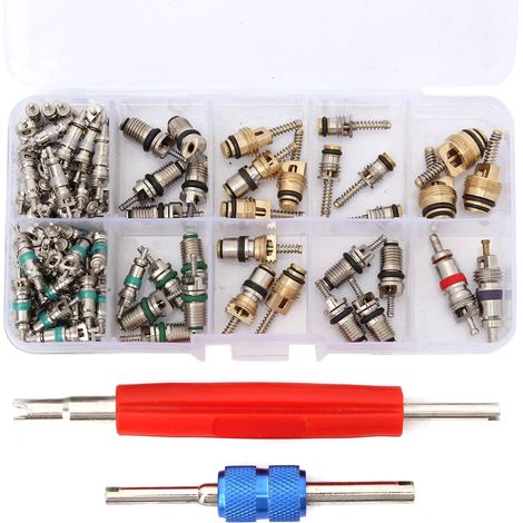 Kit de 102 obus de valve R134A pour climatisation automobile avec outils de démontage à 2 voies. (1/5)
