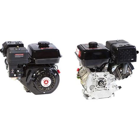 Kompletter Motor Grubber Motor ZANETTI BENZINA ZBM270L3V zylindrisch 25,4 mm Abriss