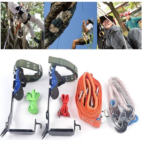 Ensemble d'équipement d'escalade d'arbre, pointe d'escalade d'arbre de 100 kg, outil d'escalade d'arbre avec harnais et corde, anti - chute, ambulancier, outil d'escalade d'arbre