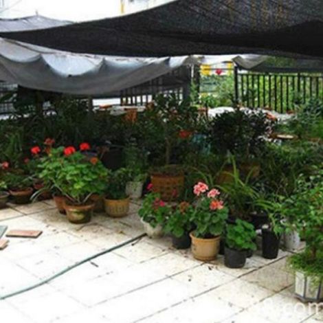 4x6m Filet'ombrage en tissu noir 4x6m, bâche en maille pour couverture de plantes, serre, poulailler, tomate (1/4)