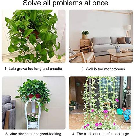 50 Pièces Attaches pour Plantes Grimpantes, Fixations Adhésives pour Vignes de Jardin, Supports Muraux (1/5)