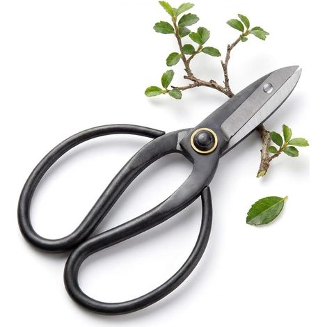 1 - Ciseaux à Bonsaï - Acier Tranchant - Outil de Taille Précise pour Branches Feuilles et Bourgeons - Jardinage Intérieur et Extérieur - Argent - 18,5cm