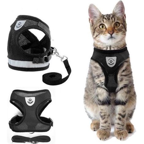 Harnais pour chat - Harnais torse - Noir - Taille S - Accessoire de promenade (1/3)