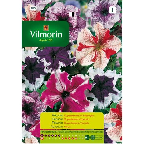 VILMORIN Semillas de PETUNIA SUPERBISSIMA VAR. FLORES S-1, 0,04 gr