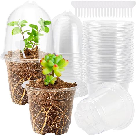 20 Pieces Godet Semis Pot Transparent Plante 9cm Cache Pot Plante Interieur Pots de Fleurs Exterieur Petit Jardiniere Plastique avec Couvercle et étiquettes pour Graines, Semis et Plantes (1/5)