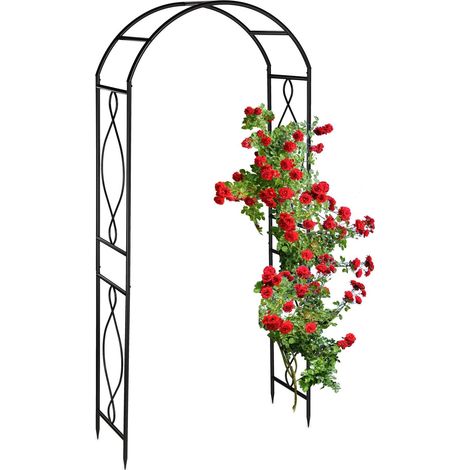 Metal rose arch in black (1/5)