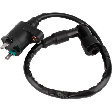 Bobina di accensione per moto Ej.Life, bobina di accensione per motore ABS adatta per 50cc 150cc 250cc GY6125 Altri ricambi auto