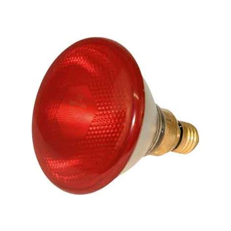 Lampada Infrarossi per Riflettore 150 W Col Rosso