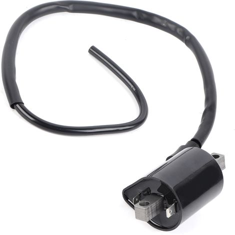 Bougie d'allumage 2 broches grande cylindrée pour chariot Yamaha G2 & G9 J38823102000 (1/5)