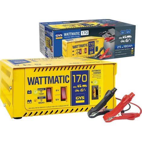 Caricabatterie Professionale Automatico Wattmatic 170 (1/5)