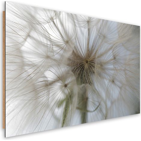 Quadro deco panel, Dente di leone su scala macro - 90x60 (1/5)
