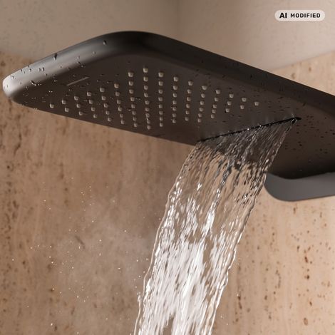 PaulGurkes Douche Plafonnier Cascade 2 Fonctions Noir Mat (1/5)
