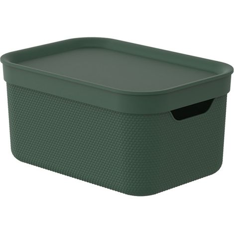 Rotho Aufbewahrungsbox Alvra mit Deckel 26,5 x 18,5 cm 5 L pure grün