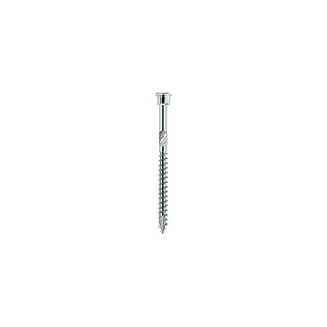 Tornillo de terraza cabeza cilíndrica TX15 Inox Trempé con homologation, 905535 4,0 x 40 (por 500)