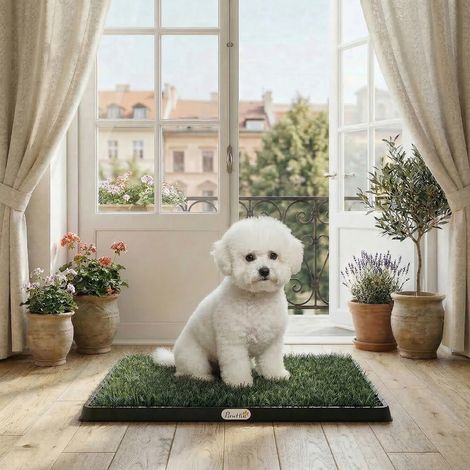 Toilettes pour chien 63 x 50,5 cm, avec 2 tapis de gazon synthétique lavables, idéales pour les chiots, balcon et maison, noir et vert.
