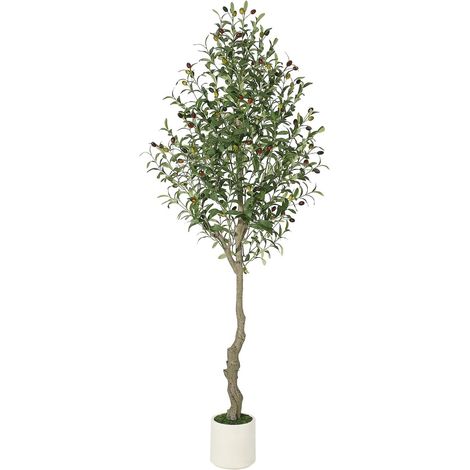Olivier Artificiel pour Intérieur et Extérieur, 180 cm (1/5)