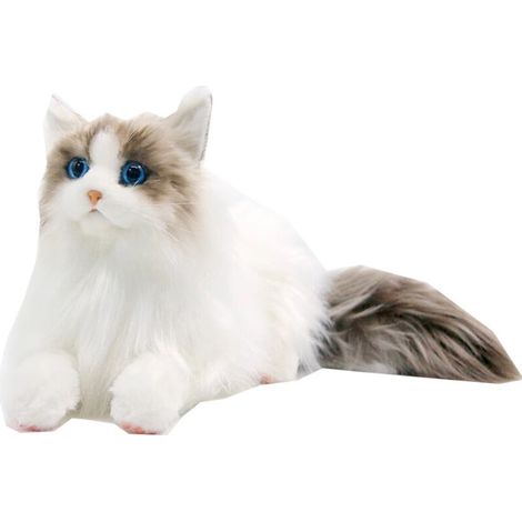 Peluche Chat Ragdoll Standard - JINFGERNE - Douceur et Réalisme pour les Amoureux des Chats