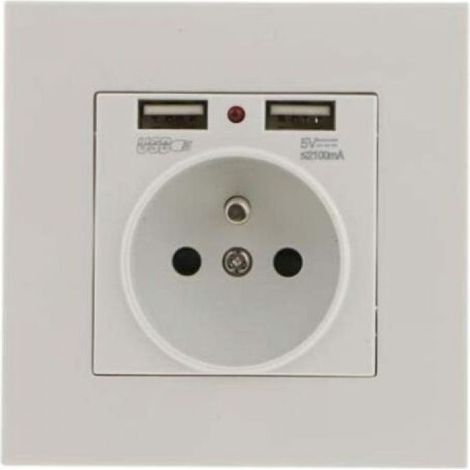 Lot de 2 Prises Murales, Prise Electrique Murale avec Double USB 5V/2100mA, Prise Encastrable avec 2 Ports de USB Pratique et Manialble TREETALK (1/4)