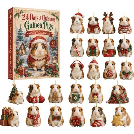 Cochon d'Inde de Noël, décoration de Noël, boîte surprise, calendrier de l'Avent, coffret cadeau, jouet de Noël (1/5)