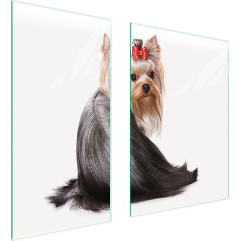 GLASSCHUTZPLATTE 75x52 HUND (1/5)