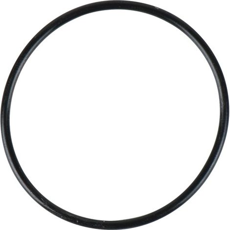 O-Ring für Zylinder (1/2)