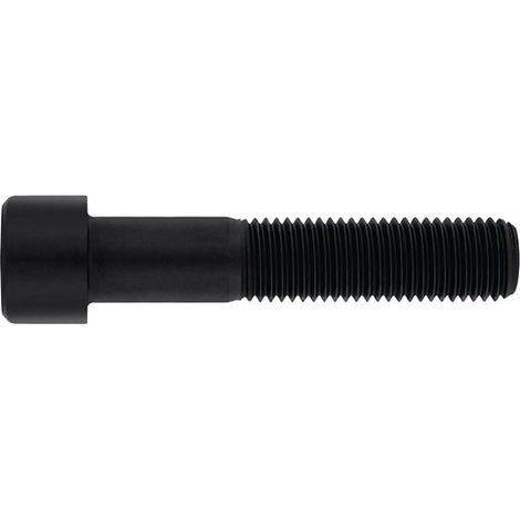 VITE ALLEN DIN912 8.8 PAV. - M16X140 (1/4)