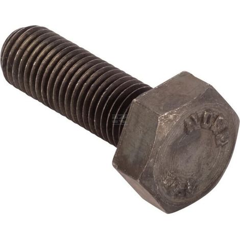 Tornillo CNH 16204430 (1/2)