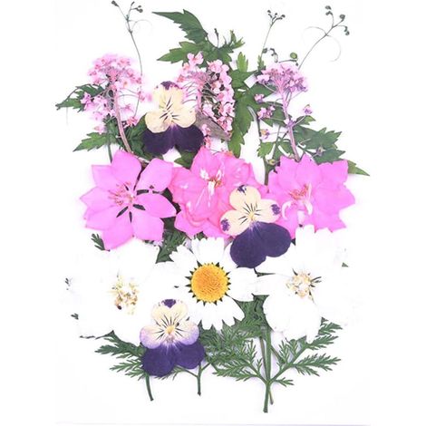 Marque-page Fleurs Séchées Transparent, DIY Artisanal, Magnifique Marque-page Floral, Clip de Page Fait Main (1/5)