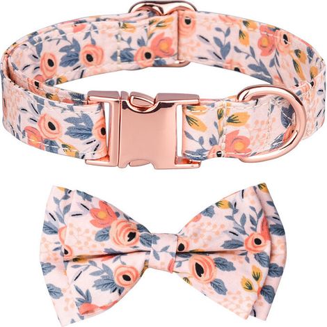 Collier pour Chien avec Noeud Papillon Détachable et Motif Floral Gravé , Collier pour Chien avec Boucle en Or Rose, Moyens Grands Chiens en 1Styles Différents (M, Orange) Lefou (1/5)
