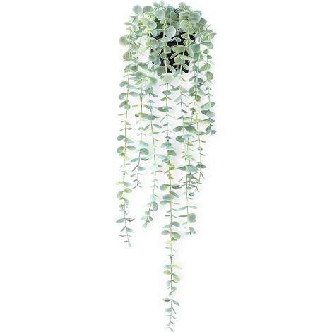 Eucalyptus suspendu pot noir – mural déco intérieur, tendance, cadeau Fête des Mères fresh (1/5)