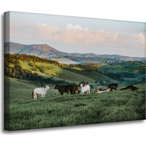 Leinwanddruck „Natur, Weide und Kühe“, 70 x 50 cm